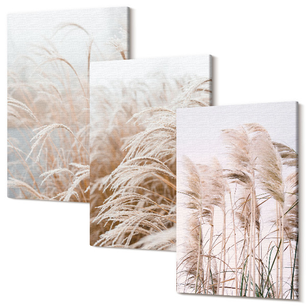 Set tablouri canvas triptic Câmpuri de iarbă în nuanțe delicate de maro și bej