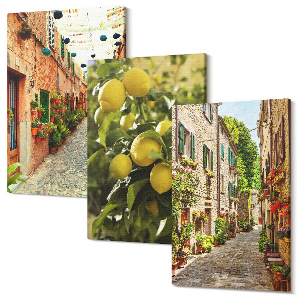 Set tablouri canvas triptic Străzi fermecătoare cu flori și lămâi în fundal