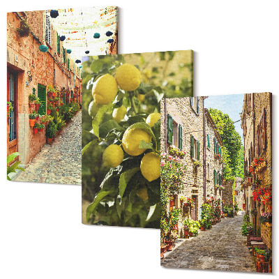Set tablouri canvas triptic Străzi fermecătoare cu flori și lămâi în fundal