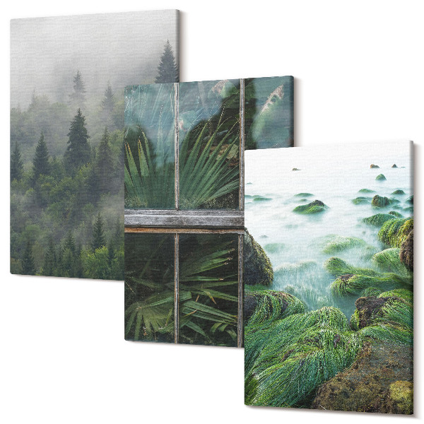 Tablou 3 piese O pădure în ceață, un mal de râu și o seră cu plante