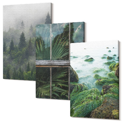 Tablou 3 piese O pădure în ceață, un mal de râu și o seră cu plante