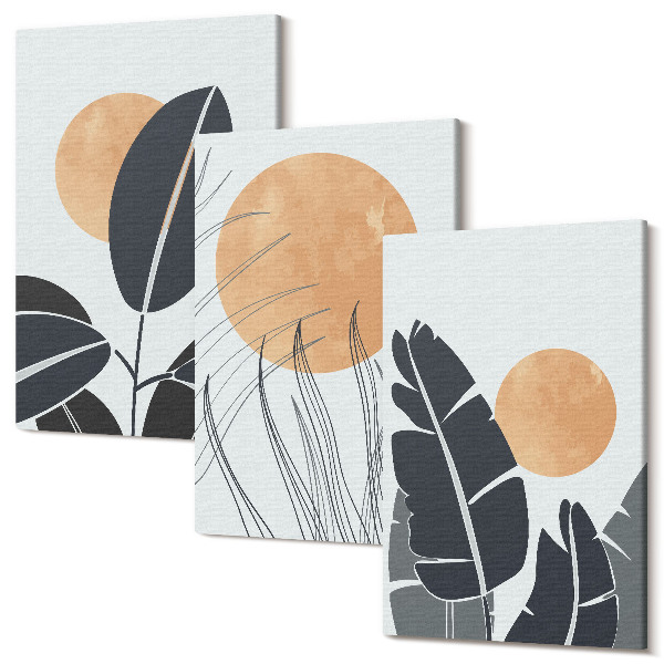 Set tablouri canvas triptic Modele de plante cu sori mari, stil minimalist