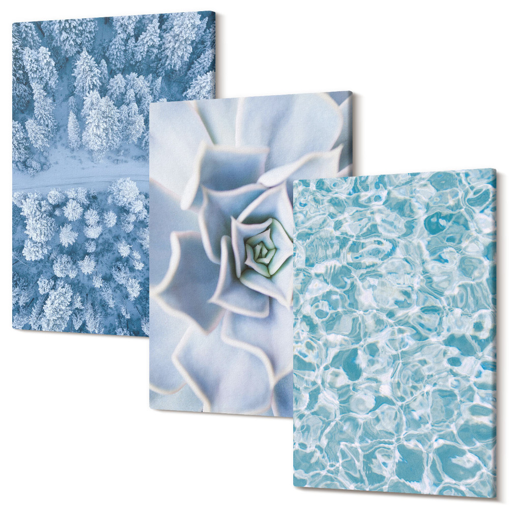 Tablou canvas set triptic Iarnă pădure floare albastră suprafața apei albastre