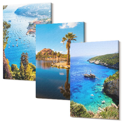 Tablou 3 piese Vedere la mare cu palmieri și apă albastră