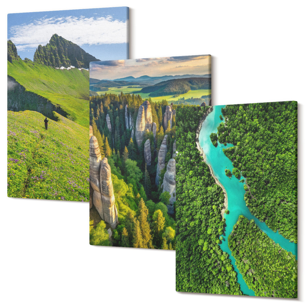 Tablou 3 piese Peisaje verzi de munte cu un râu și stânci