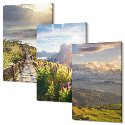 Tablou canvas set triptic Peisaje montane cu flori, cer si poteca