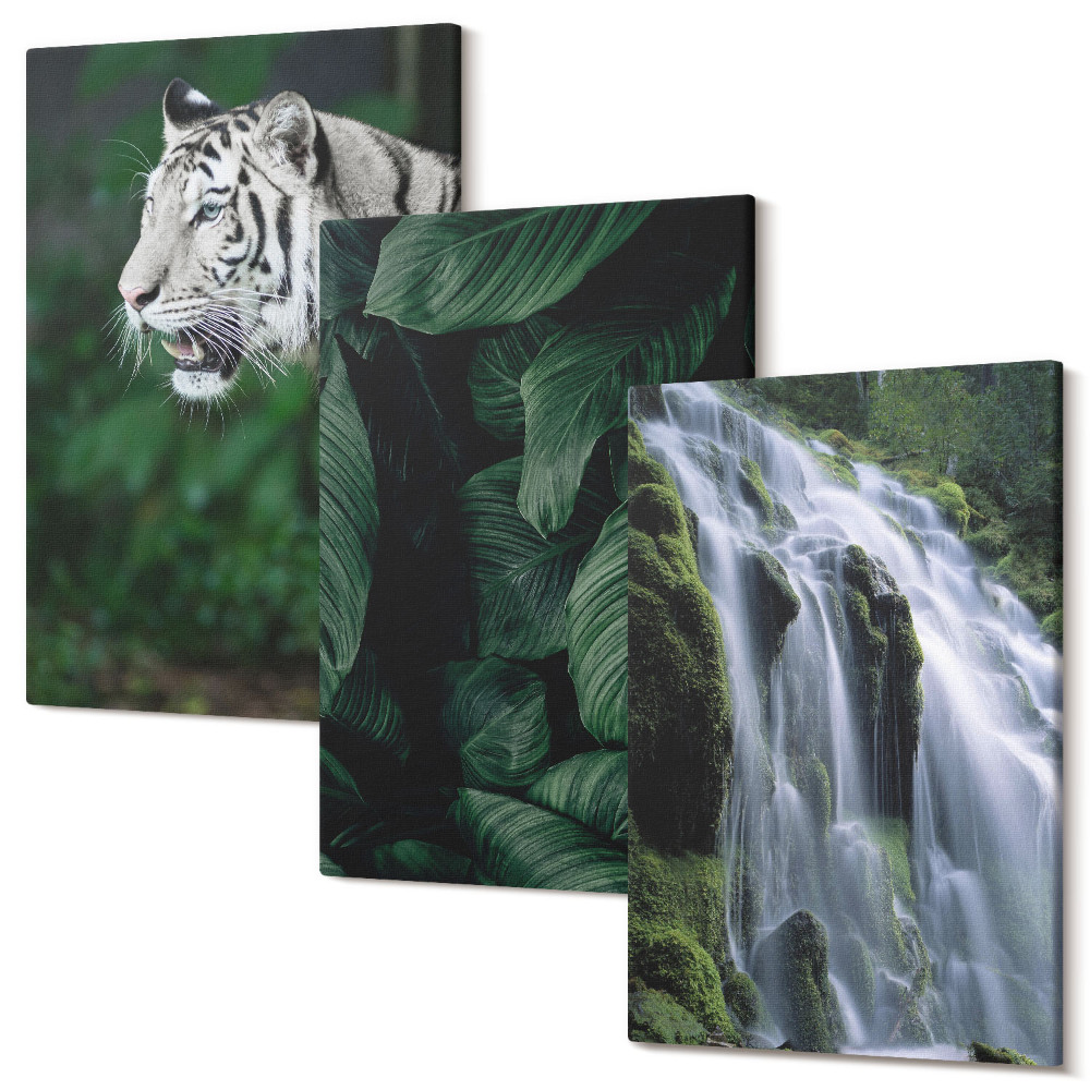 Set tablouri canvas triptic Frunze de tigru alb și cascadă în cadru natural