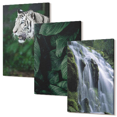Set tablouri canvas triptic Frunze de tigru alb și cascadă în cadru natural