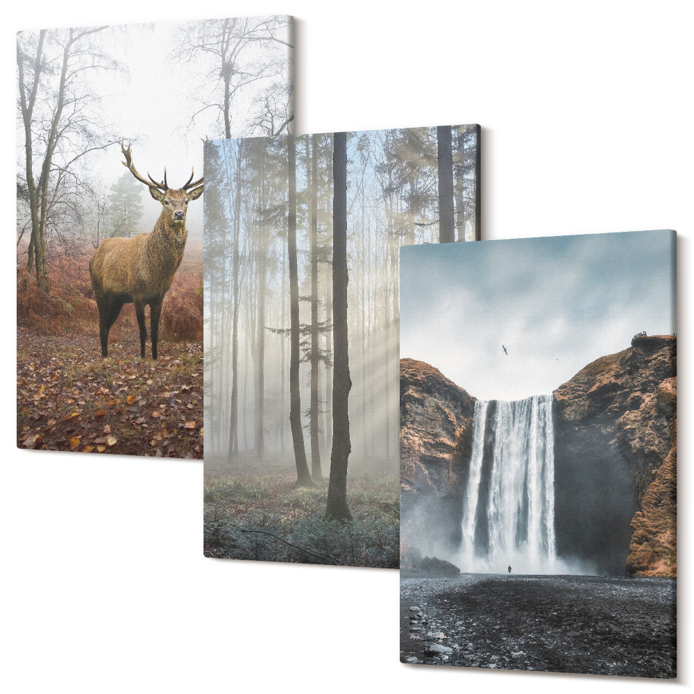 Tablou canvas set triptic Peisaje de pădure natură sălbatică cerb
