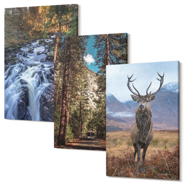 Tablou 3 piese Cascada în pădure, munți și căprioare în natură