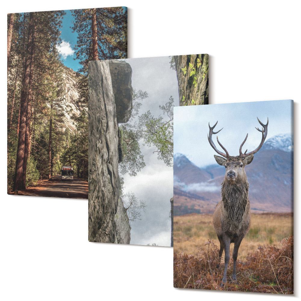 Set tablouri canvas triptic Drum în pădure, munți și căprioare în natură