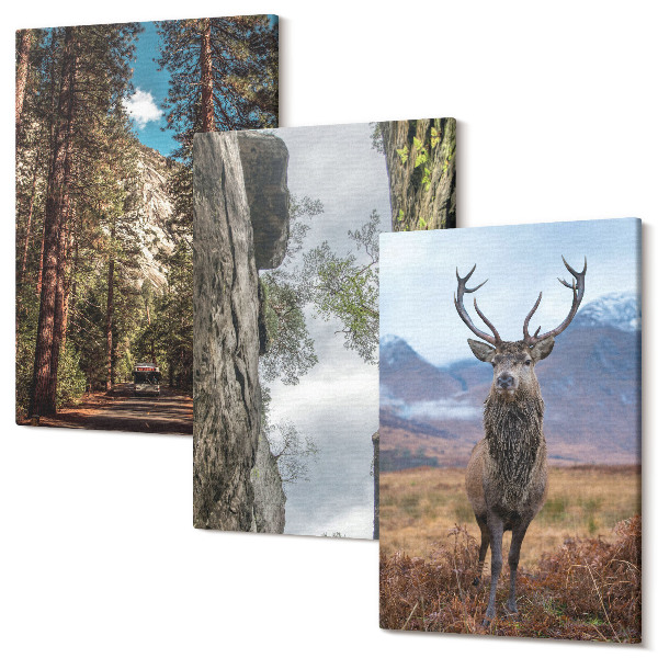 Set tablouri canvas triptic Drum în pădure, munți și căprioare în natură