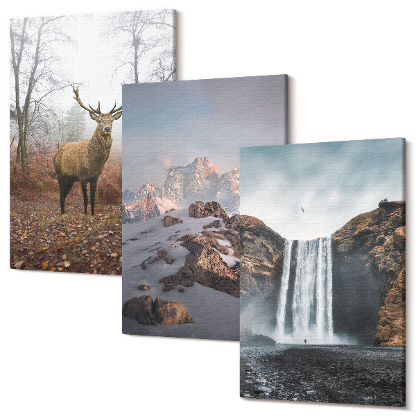 Set tablouri canvas triptic Peisaje naturale sălbatice munți căprioare și cascade