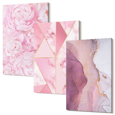 Tablou 3 piese Flori roz bujori modele geometrice