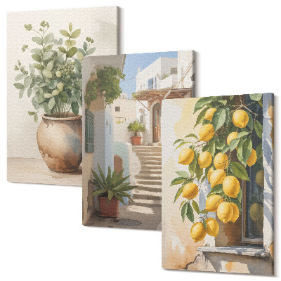 Set tablouri canvas triptic Plante în ghiveci și lămâi pe fundalul unei străzi