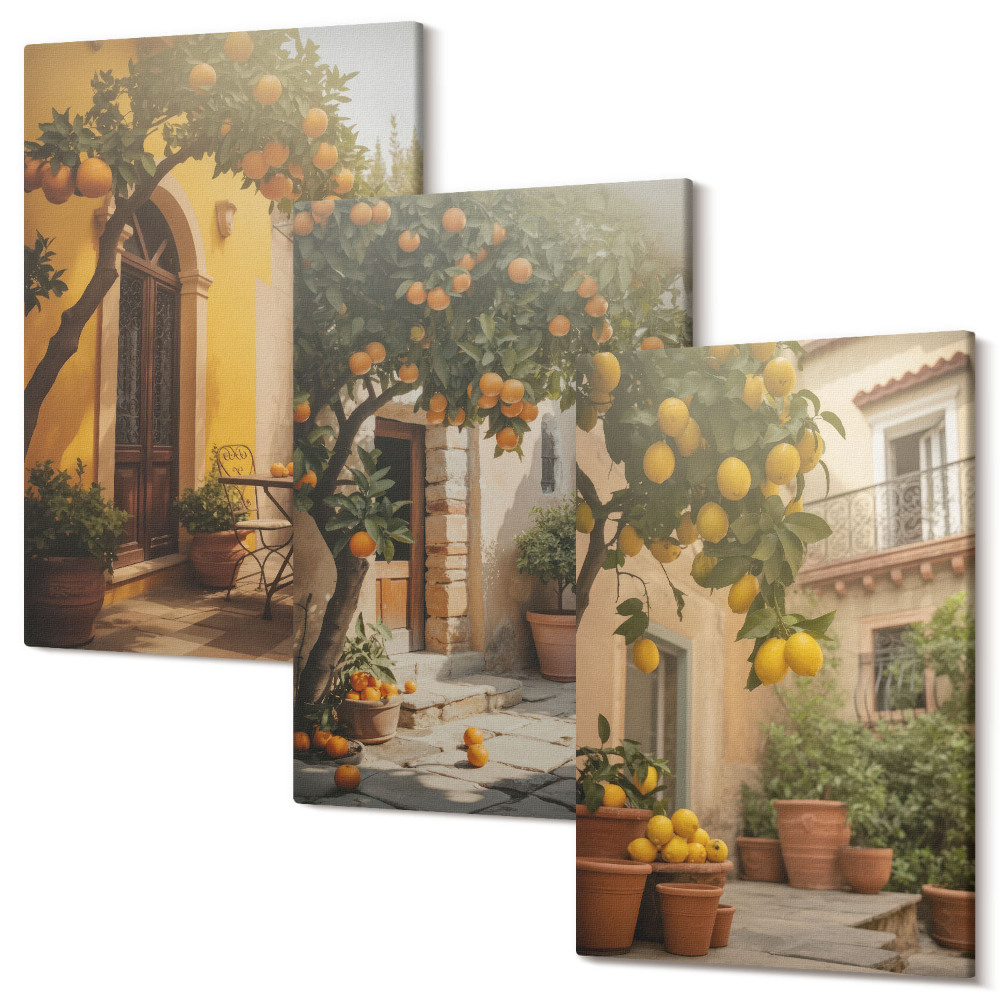 Set tablouri canvas triptic Terasă însorită cu citrice și ghivece