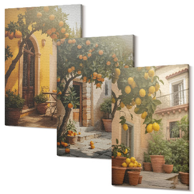 Set tablouri canvas triptic Terasă însorită cu citrice și ghivece