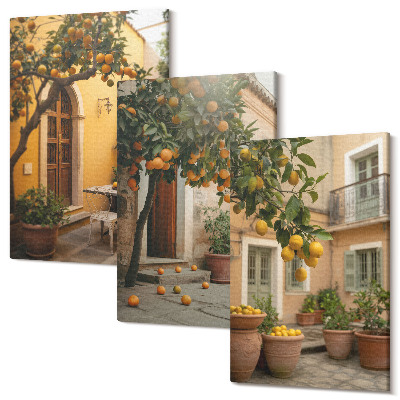 Tablou canvas set triptic O grădină cu citrice într-un cadru însorit