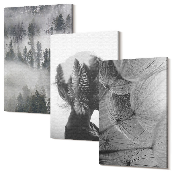 Set tablouri canvas triptic Pădure în ceață portret cu copaci păpădie delicată