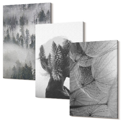 Set tablouri canvas triptic Pădure în ceață portret cu copaci păpădie delicată