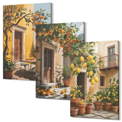 Tablou canvas set triptic Citrice într-o curte însorită cu plante