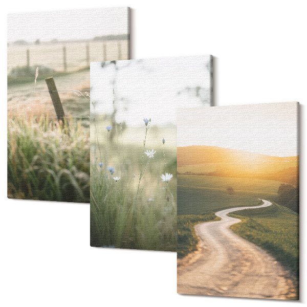 Tablou canvas set triptic Peisaj cu pajiște, drum și apus