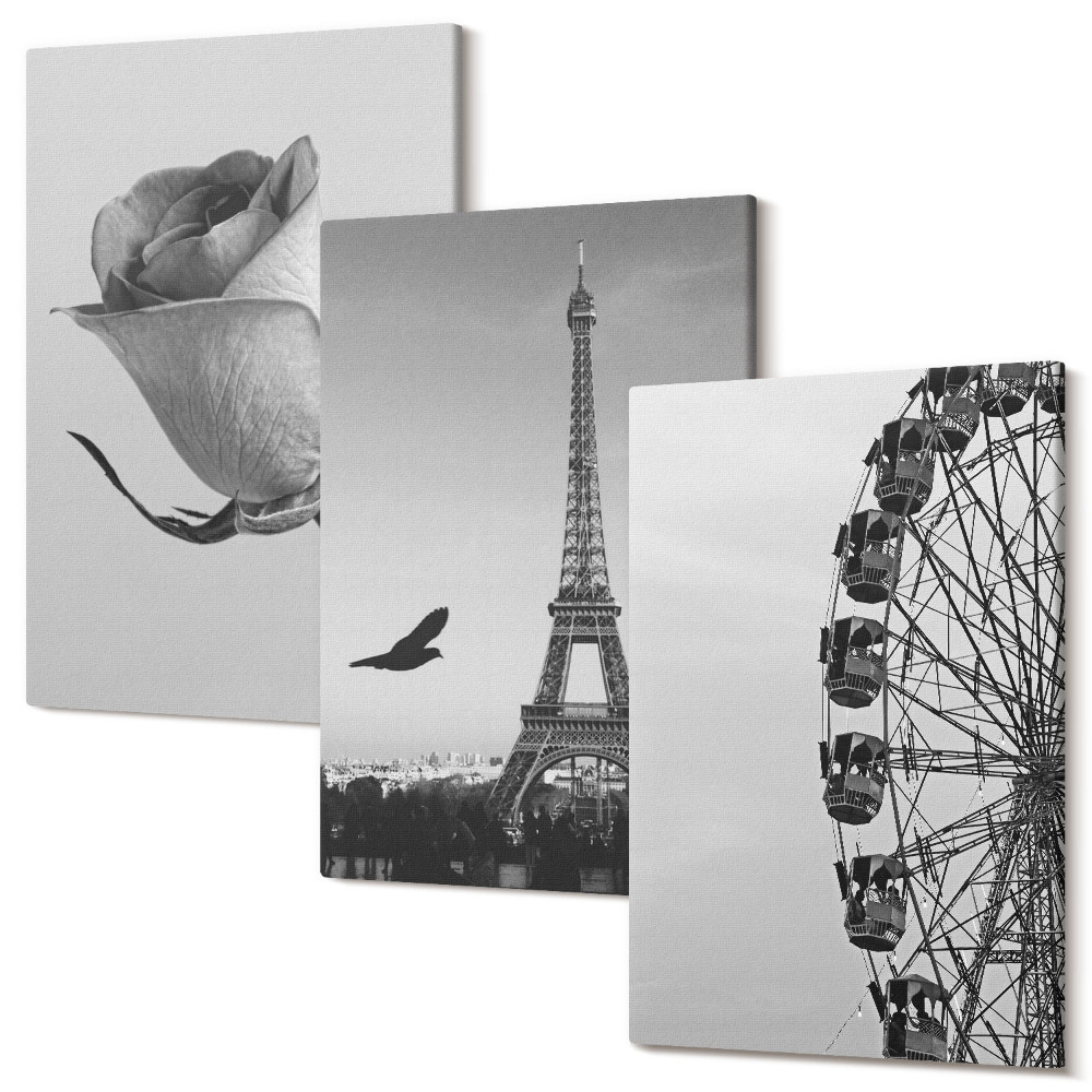 Tablou 3 piese Turnul Eiffel trandafir și roata Ferris în monocrom
