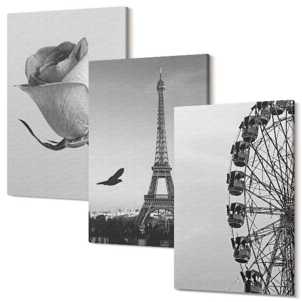 Tablou 3 piese Turnul Eiffel trandafir și roata Ferris în monocrom