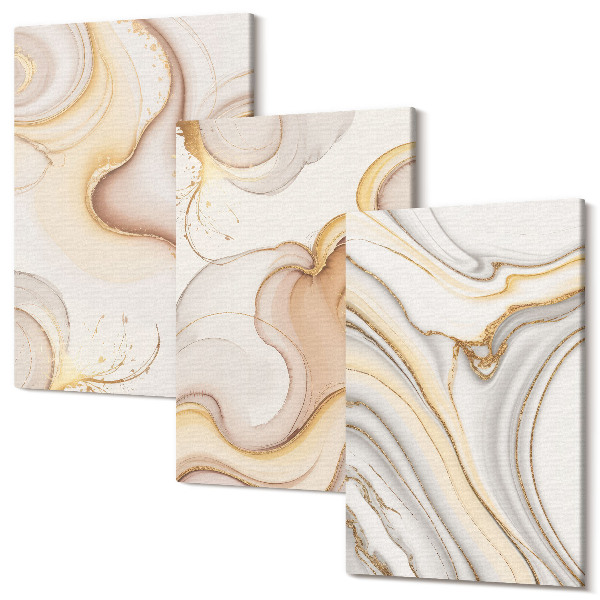 Set tablouri canvas triptic Motive abstracte liniare decor elegant