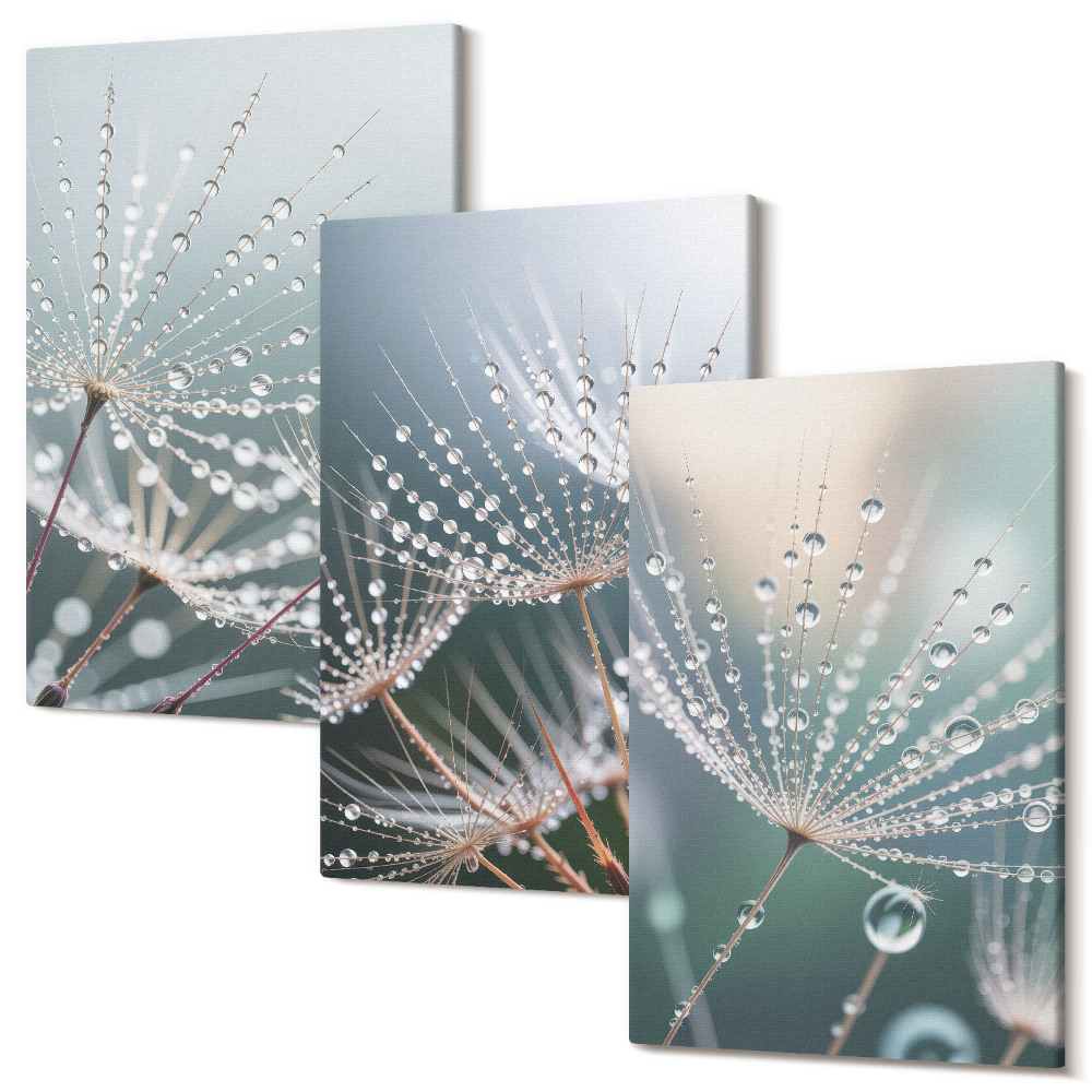 Tablou canvas set triptic Picături de apă pe lăstarii delicati de păpădie