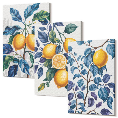 Set tablouri canvas triptic Lămâi pe ramuri cu frunze albastre