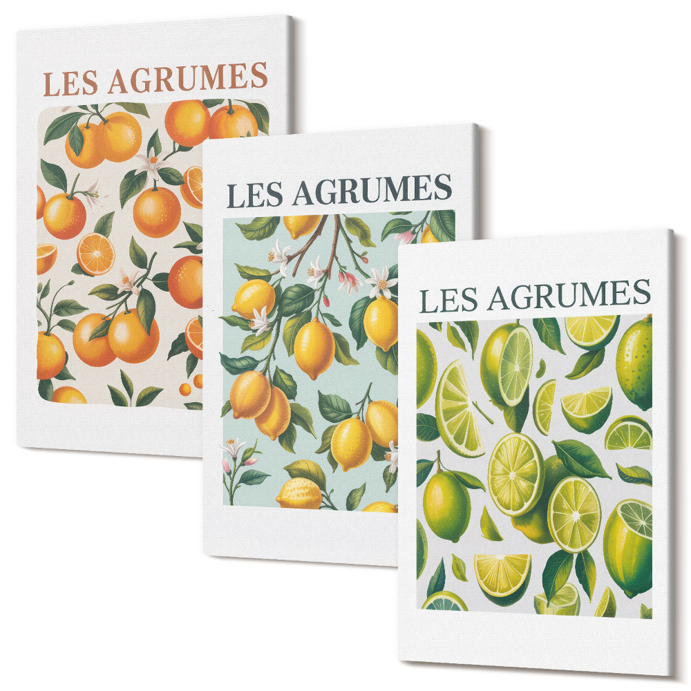 Tablou 3 piese Modele de citrice fructate în culori pastelate