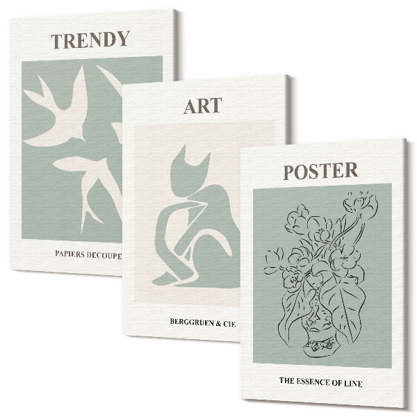 Set tablouri canvas triptic Ilustrații elegante de Henri Matisse