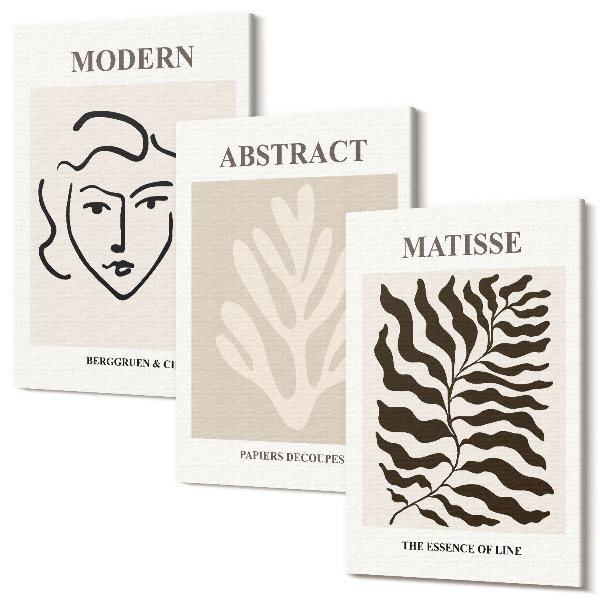 Set tablouri canvas triptic Ilustrații cu față și frunze ale graficii lui Henri Matisse