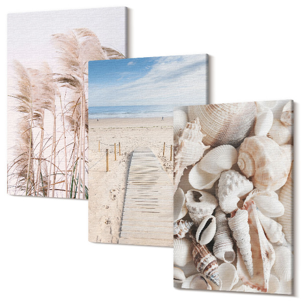 Tablou 3 piese Plaja de nisip cu scoici și iarbă de mare