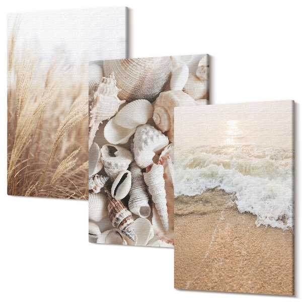 Tablou canvas set triptic Motive de plajă cu scoici și valuri ale mării