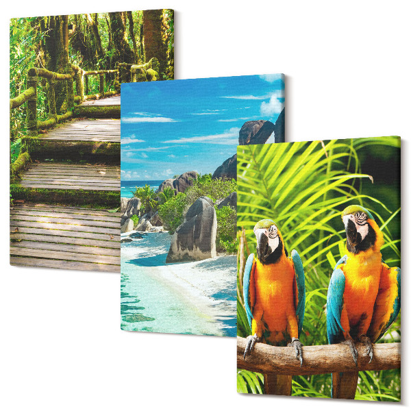 Tablou canvas set triptic Pădure tropicală cu o cascadă și papagali colorați