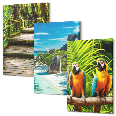Tablou canvas set triptic Pădure tropicală cu o cascadă și papagali colorați
