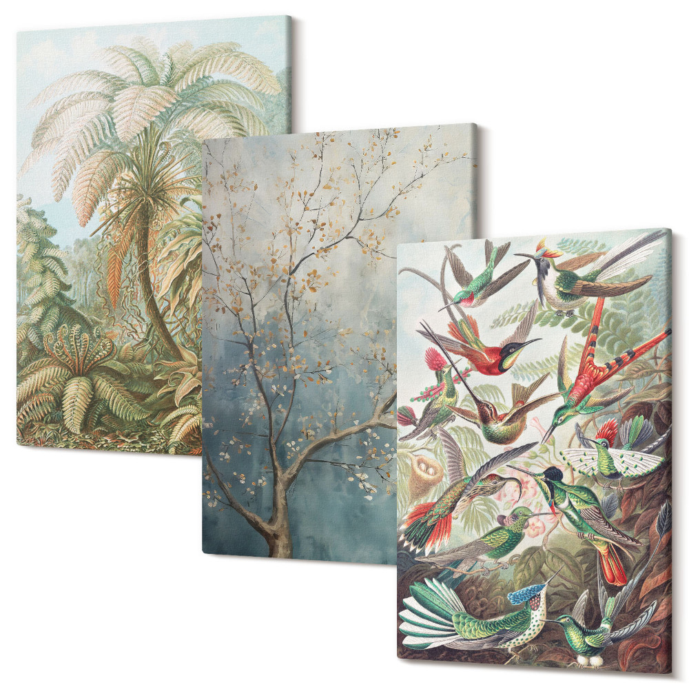 Tablou canvas set triptic Plante tropicale și păsări colorate în natură