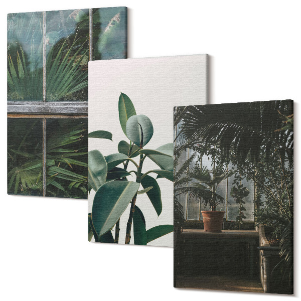 Tablou 3 piese Frunze verzi pe fereastră și plante înăuntru