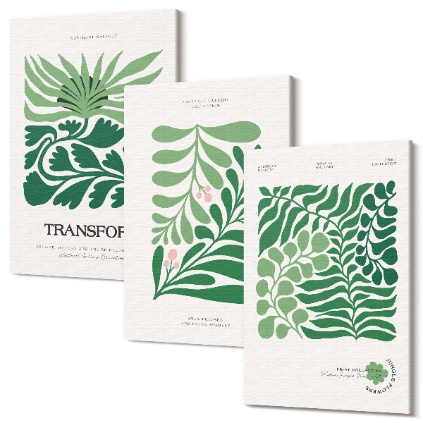 Set tablouri canvas triptic Un set de frunze verzi și plante în diverse forme