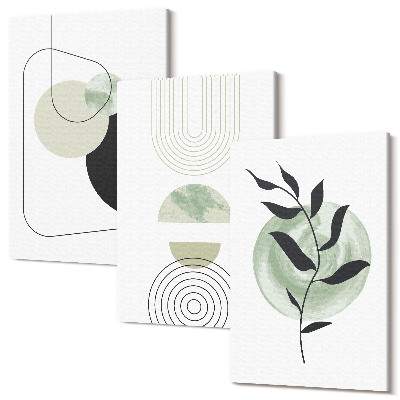 Tablou canvas set triptic Forme abstracte și motive vegetale în verde