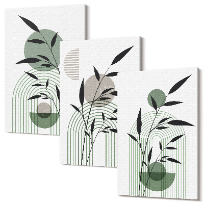 Tablou 3 piese Compoziții abstracte de plante, stil boho