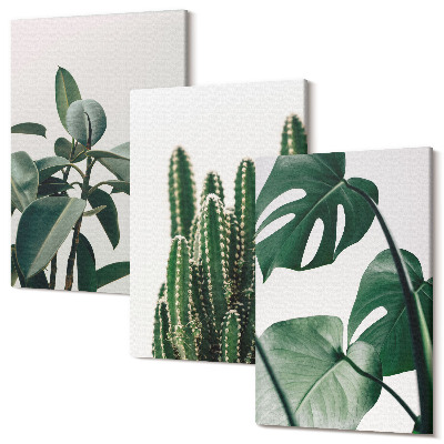 Tablou 3 piese Frunze estetice plante de apartament tropicale