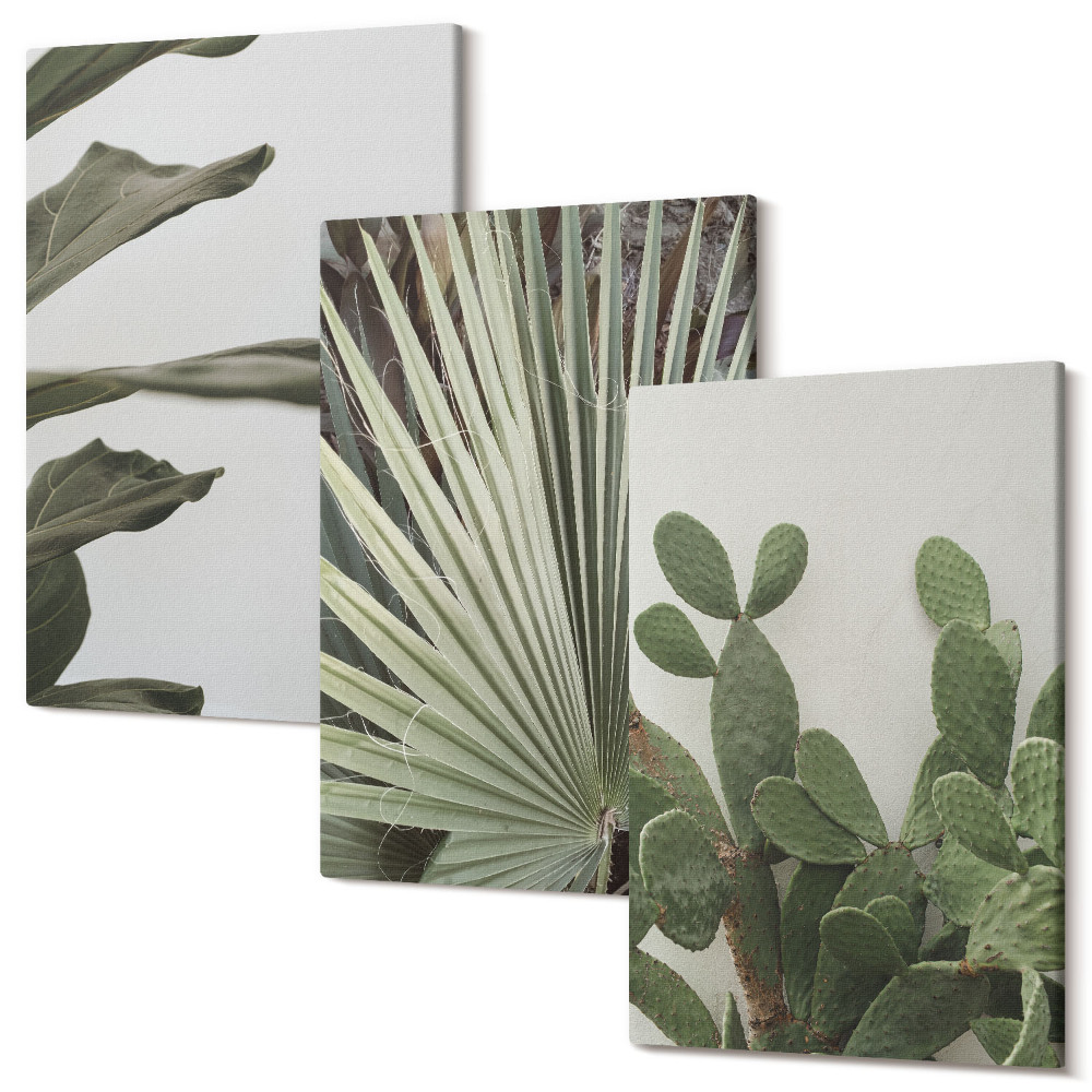 Tablou 3 piese Frunze de plante tropicale în culori pastelate