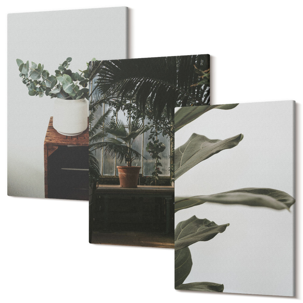 Tablou 3 piese Plante în ghiveci cu frunze rustice