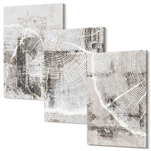 Tablou canvas set triptic Modele de granulație a lemnului în nuanțe de gri și alb