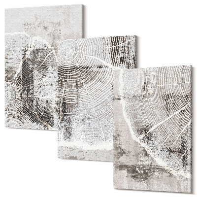 Tablou canvas set triptic Modele de granulație a lemnului în nuanțe de gri și alb
