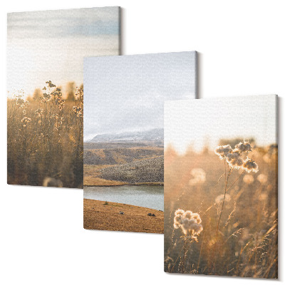 Tablou 3 piese Peisaje cu pajiști, munți și un lac în fundal