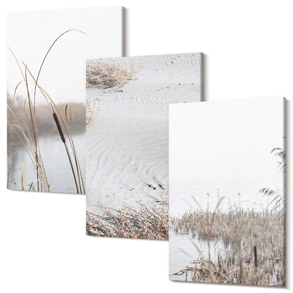 Set tablouri canvas triptic Vegetație acvatică vederi delicate de vară